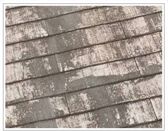 屋根材の腐食した化粧スレート・コンクリート